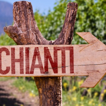 Yoga nei vigneti del Chianti e degustazione di vino Yoga nei vigneti del Chianti e degustazione di vino