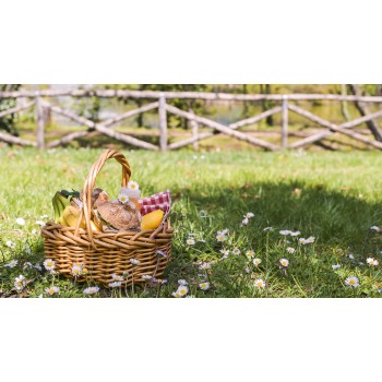 Pic-nic in Maremma: alla scoperta del Morellino di Scansano