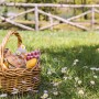 Pic-nic in Maremma: alla scoperta del Morellino di Scansano