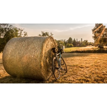 Chianti: e-bike tour e pranzo al Castello di Brolio