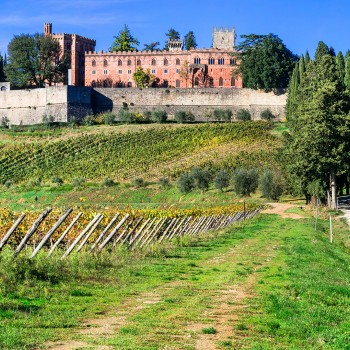 Chianti: e-bike tour e pranzo al Castello di Brolio Chianti: e-bike tour e pranzo al Castello di Brolio