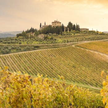 Wine safari in jeep nel Chianti e degustazione vini Wine safari in jeep nel Chianti e degustazione vini