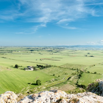 Passeggiata a cavallo e aperitivo nel materano Passeggiata a cavallo e aperitivo nel materano