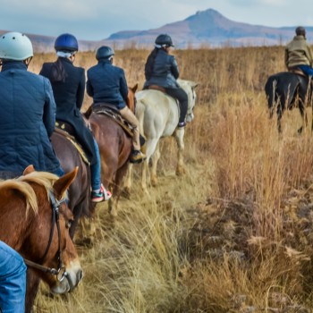 Passeggiata a cavallo e aperitivo nel materano Passeggiata a cavallo e aperitivo nel materano