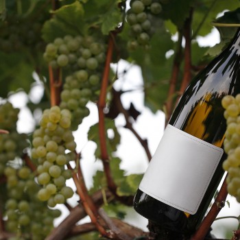 Rocca Bernarda: visita e degustazione vini con un riserva Rocca Bernarda: visita e degustazione vini con un riserva