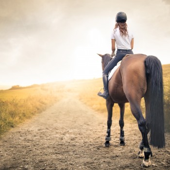 Servizio fotografico a Matera a cavallo nel parco Servizio fotografico a Matera a cavallo nel parco