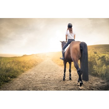 Servizio fotografico a Matera a cavallo nel parco