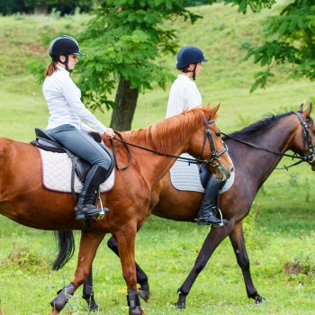 Servizio fotografico a Matera a cavallo nel parco Servizio fotografico a Matera a cavallo nel parco