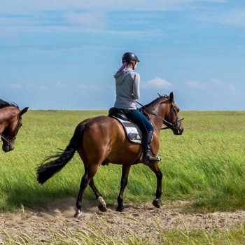 Passeggiata a cavallo con servizio fotografico nel materano Passeggiata a cavallo con servizio fotografico nel materano