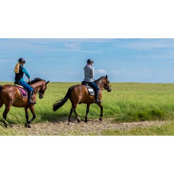 Passeggiata a cavallo con servizio fotografico nel materano