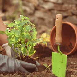 Gardening course in an exceptional setting Gardening course in an exceptional setting