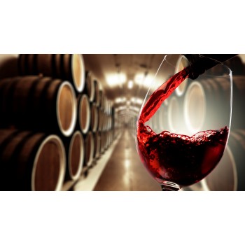 Degustazione d’eccezione in un’azienda agricola biologica