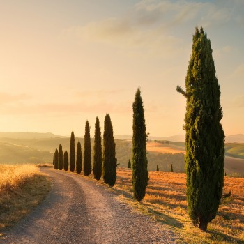 Visita con light lunch e degustazione in una cantina toscana Visita con light lunch e degustazione in una cantina toscana