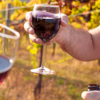 Visita con light lunch e degustazione in una cantina toscana Visita con light lunch e degustazione in una cantina toscana