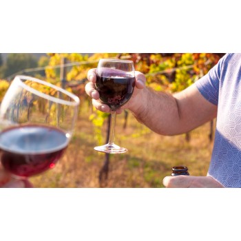 Visita con light lunch e degustazione in una cantina toscana