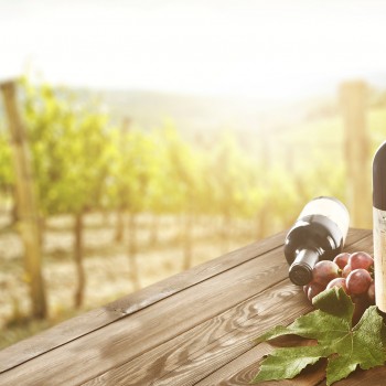 Degustazione di vini con light lunch a Volterra e dintorni Degustazione di vini con light lunch a Volterra e dintorni
