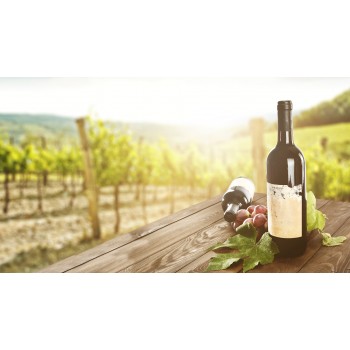 Degustazione di vini con light lunch a Volterra e dintorni