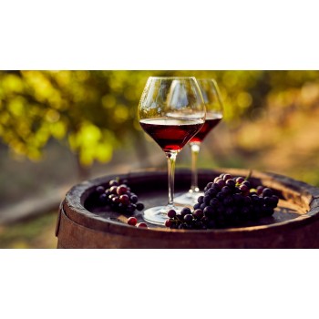 Degustazione di vini con aperitivo tra l’arte a Carmignano