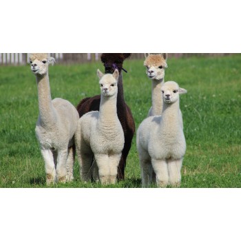 Alla scoperta delle bellezze e dei misteri dei borghi lucani