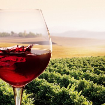 Degustazione di vini con aperitivo a Volterra e dintorni Degustazione di vini con aperitivo a Volterra e dintorni