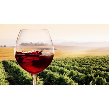 Degustazione di vini con aperitivo a Volterra e dintorni