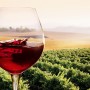 Degustazione di vini con aperitivo a Volterra e dintorni