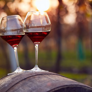 Visita alle cantine Bolgheri e degustazione con light lunch Visita alle cantine Bolgheri e degustazione con light lunch