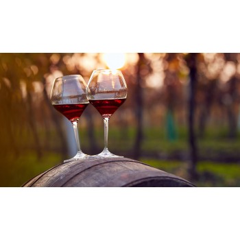 Visita alle cantine Bolgheri e degustazione con light lunch