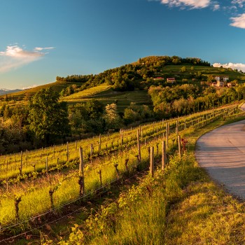 Dintorni di Pordenone: l’antico alambicco e le grappe Dintorni di Pordenone: l’antico alambicco e le grappe