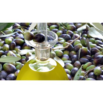 Trekking nei dintorni di Todi e degustazione in frantoio