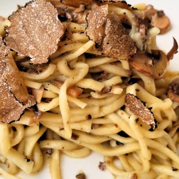 Pranzo sull’albero a Todi nel bosco Pranzo sull’albero a Todi nel bosco