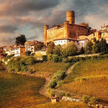 Un autista privato per un tour indimenticabile nelle Langhe Un autista privato per un tour indimenticabile nelle Langhe