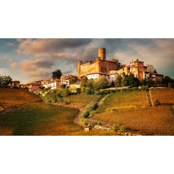 Un autista privato per un tour indimenticabile nelle Langhe