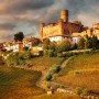 Un autista privato per un tour indimenticabile nelle Langhe