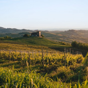 Visita all’azienda Ferrari nel Pavese con degustazione Visita all’azienda Ferrari nel Pavese con degustazione