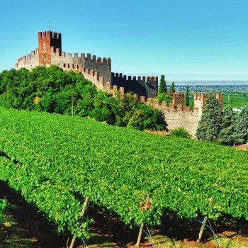 Alla scoperta della Soave vallata: i vini e la gastronomia Alla scoperta della Soave vallata: i vini e la gastronomia