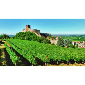 Alla scoperta della Soave vallata: i vini e la gastronomia Alla scoperta della Soave vallata: i vini e la gastronomia