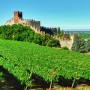 Alla scoperta della Soave vallata: i vini e la gastronomia