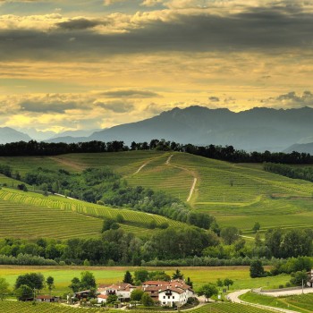 Una cena indimenticabile sui colli del Friuli Una cena indimenticabile sui colli del Friuli