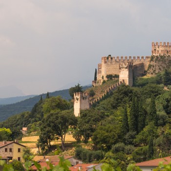 Alla scoperta della Soave vallata: il borgo, il castello e i vini Alla scoperta della Soave vallata: il borgo, il castello e i vini