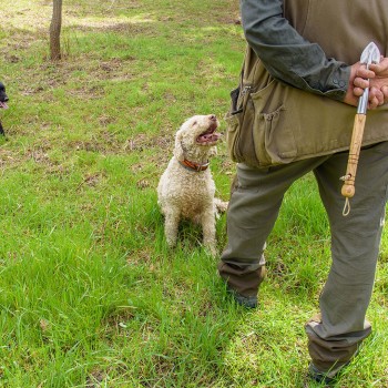 Alla ricerca del prezioso tartufo delle Langhe Alla ricerca del prezioso tartufo delle Langhe