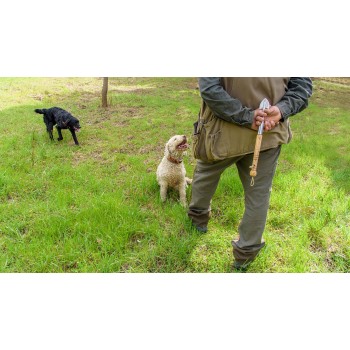 Alla ricerca del prezioso tartufo delle Langhe Alla ricerca del prezioso tartufo delle Langhe
