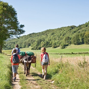 Molise: trekking con asini e pranzo tipico a Fornelli Molise: trekking con asini e pranzo tipico a Fornelli