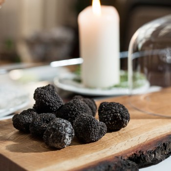 A caccia di tartufo e pranzo degustazione in Molise A caccia di tartufo e pranzo degustazione in Molise