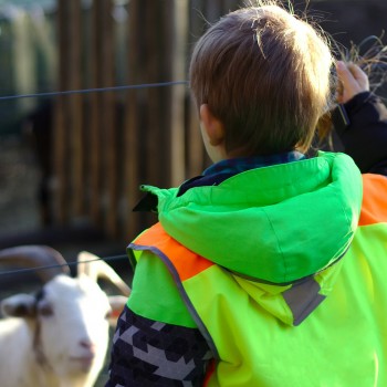 Sepino e Altilia: tour di storia, gusto e cashmere Sepino e Altilia: tour di storia, gusto e cashmere