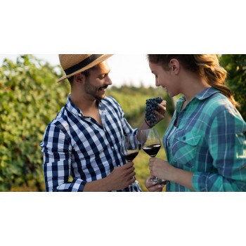 Pranzo gourmet in un casale storico, immersi nella natura