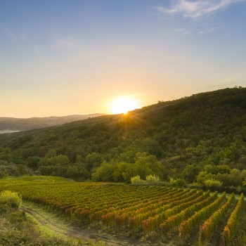 Pasta course in a historic farmhouse, surrounded by nature Pasta course in a historic farmhouse, surrounded by nature