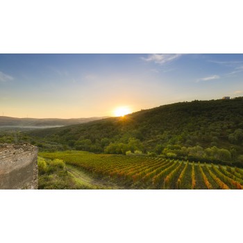 Corso di pasta in un casale storico, immersi nella natura
