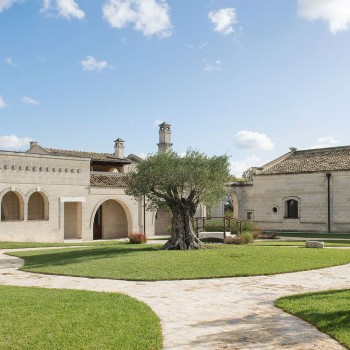 Tasting of the best wines of the Murge Tasting of the best wines of the Murge