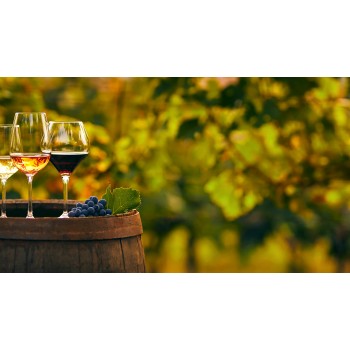 Degustazione dei migliori vini delle Murge